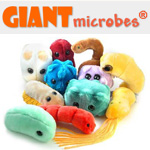 ps-13-giantmicrobes