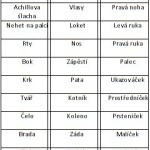 tematicke plany moje telo a zdravi 3 roky : 5 aktivit pro děti: Vše o mně tematicke plany moje telo a zdravi 3 roky : ScreenHunter 01 Jan. 17 14.36 150x150 5 aktivit pro děti: Vše o mně